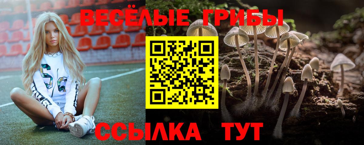 Галлюциногенные грибы мицелий  Вход с VPN  Гатчина 